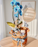 Welcome Baby Box – Personalized Newborn Gift Set - OhSurpriseGifts